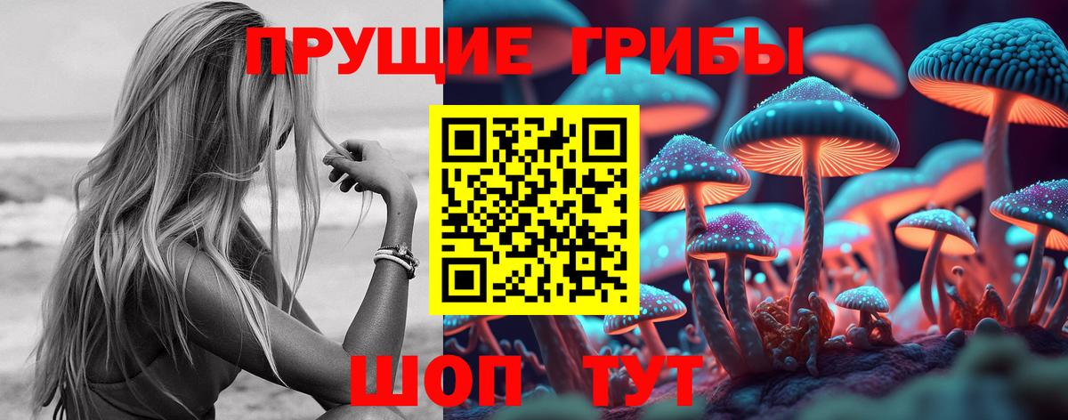 Псилоцибиновые грибы Psilocybe Вязники